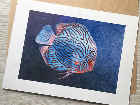 画一条鱼便爱上一条鱼（个人主页-ZMjY1NjU4NzI=） - 创作习作 - 站酷设计师_lelia原创素材 - 站酷ZCOOL