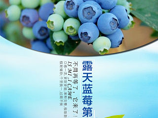 蓝莓 水果 淘宝详情页