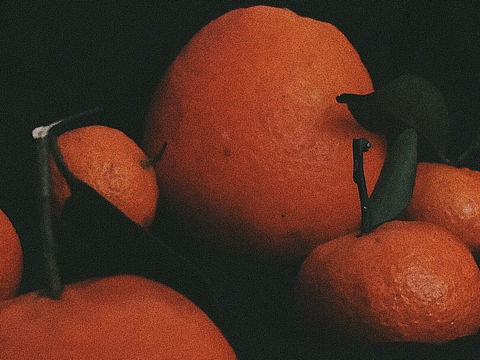 初次见面,请多关照