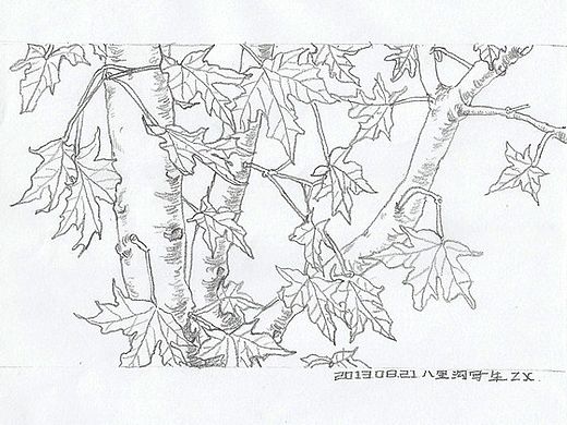 河南写生速写（个人主页-ZMTM2MTAzMzY=） - 创作习作 - 站酷设计师张芯原创素材 - 站酷ZCOOL