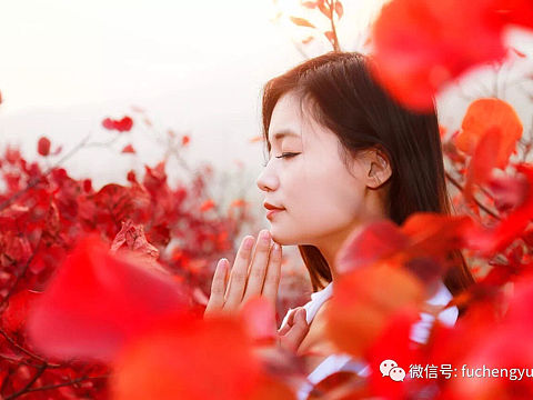 外景-人像-红叶