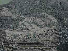 漆畫作品《瑞雪寒陽》