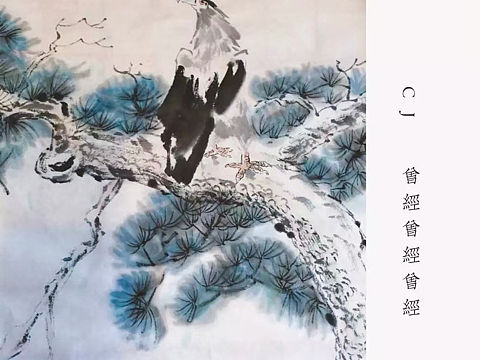 鹰嘴鷂目