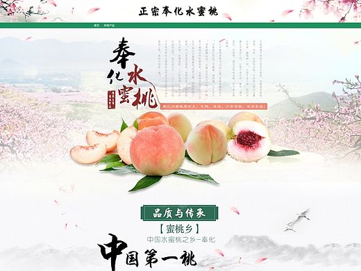 奉化水蜜桃首页/专题页/产品介绍页
