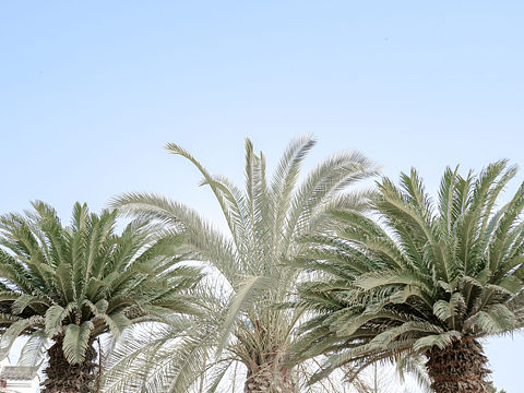 “假装在沙漠”——施工现场