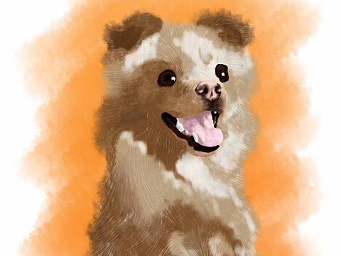 我家豆包（个人主页-ZMzQ5OTMwMDA=） - 创作习作 - 站酷设计师PAULINE设计工作原创素材 - 站酷ZCOOL