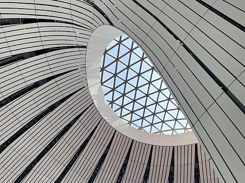 大兴凤凰 look up