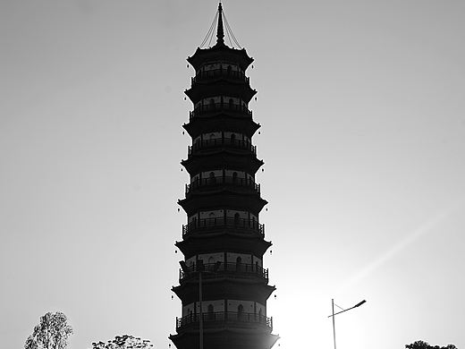 yyayanyang羊cchchechencheng城
