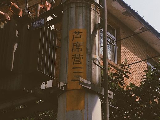 手机拍