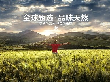 企业官网设计