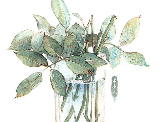 木壳人的水彩教程