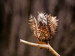 《一些老照片04》關(guān)于家鄉(xiāng)的記憶