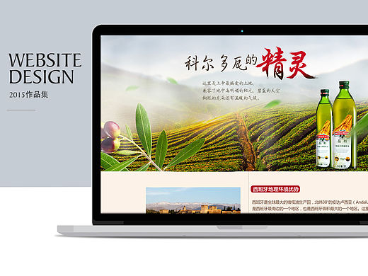 2015橄榄油节日活动页面集