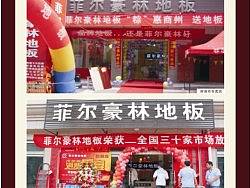 菲尔豪林地板/木地板建材广告/企业文化设计/平面广告设计/企业vi形象设计