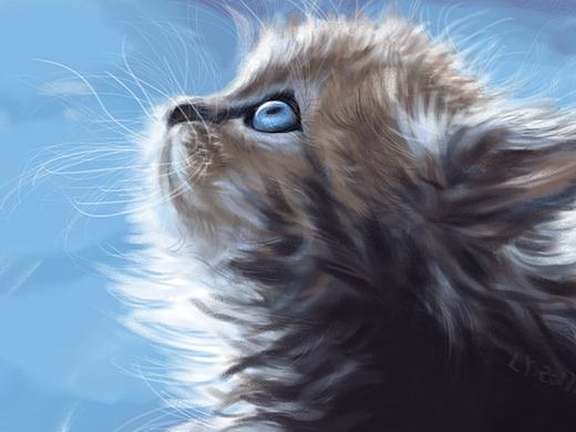 一只猫