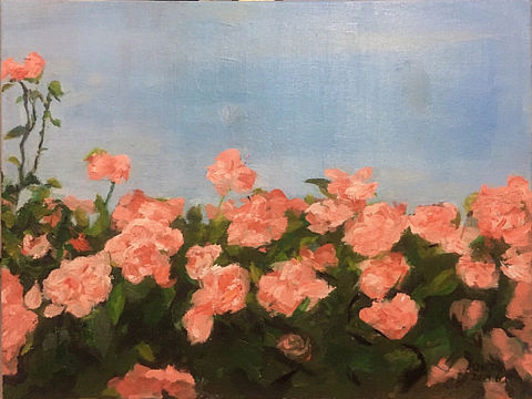 蔷薇 (油画 原创)
