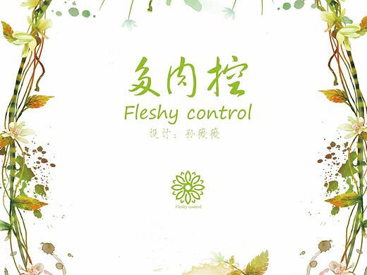 多肉控