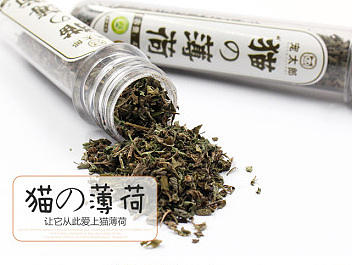 宠物类目猫薄荷/猫咪玩具/猫咪零食/（个人主页-ZMjE1MzMzMDg=） - 其他平面 - 站酷设计师二代GG原创素材 - 站酷ZCOOL