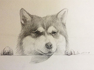 他叫无厘头（个人主页-ZNjg3MjE2MA==） - 创作习作 - 站酷设计师这位鹿先生原创素材 - 站酷ZCOOL