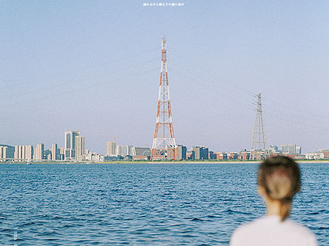 【海浪浪浪浪浪浪花，一键重启夏天】 