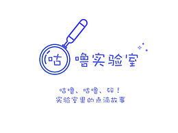 手机输入法