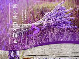 薰衣草素材