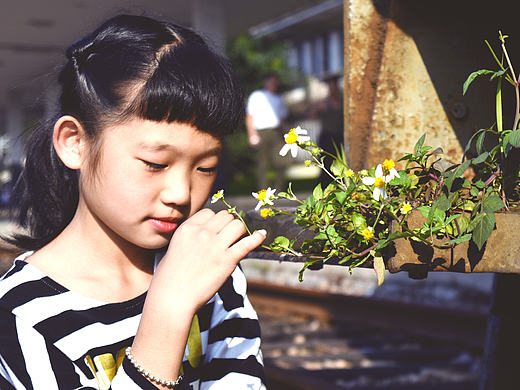 芯