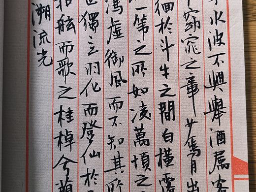 一日一贴