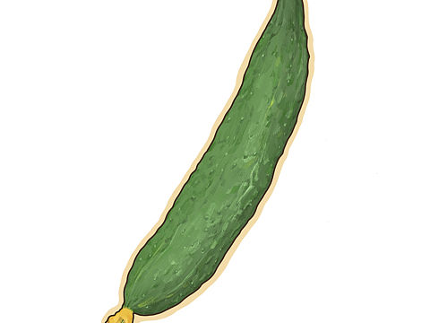 蔬菜小插画