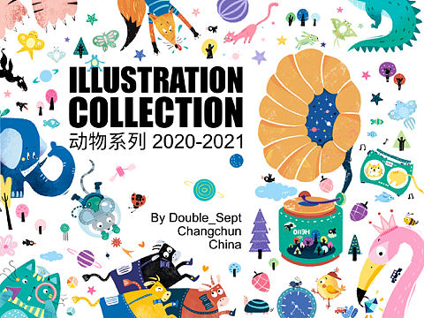 DS - 动物园