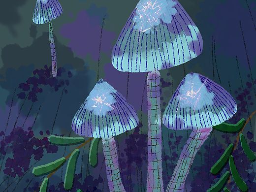 蘑菇🍄临摹
