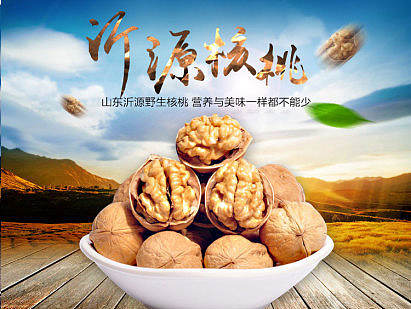 沂蒙山旮旯 核桃详情页（个人主页-ZMTg3Nzg4NTY=） - 电商 - 站酷设计师左__撇原创素材 - 站酷ZCOOL