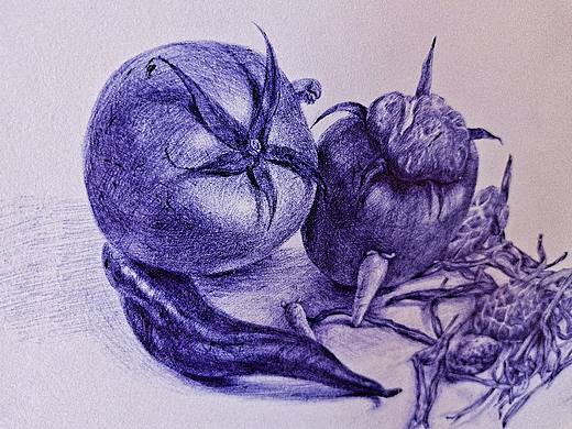 圆珠笔静物系列