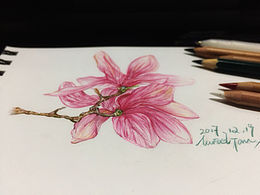 有則改之 無則加勉：大一的回首