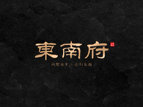 东南府 地产VI