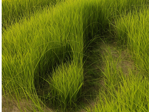 遥 遥 领 先 !!!!