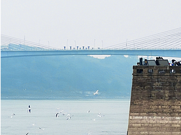 哟，哥几个又来啦