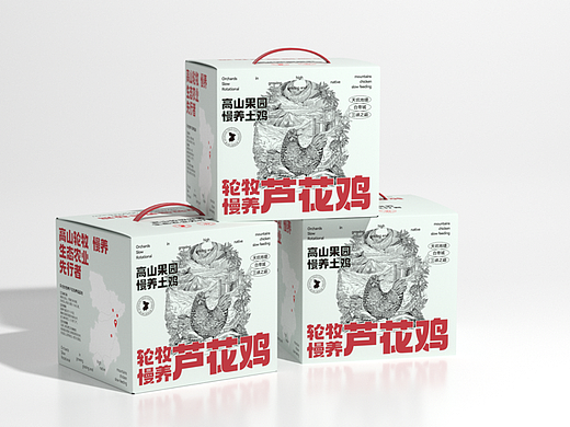 智远新作｜鸡和蛋有话说“鸡蛋包装可别卷，来看我！”