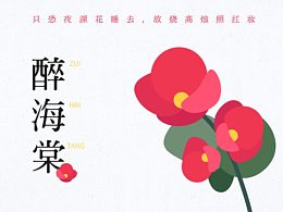 醉海棠-两个简单的设计提案