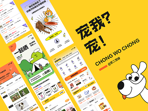 「宠我宠」APP全新改版升级-宠我？宠！