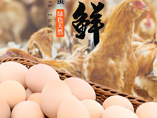 散养土鸡蛋详情页拍摄创作