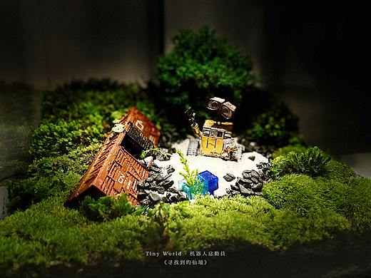 寻找到的仙境