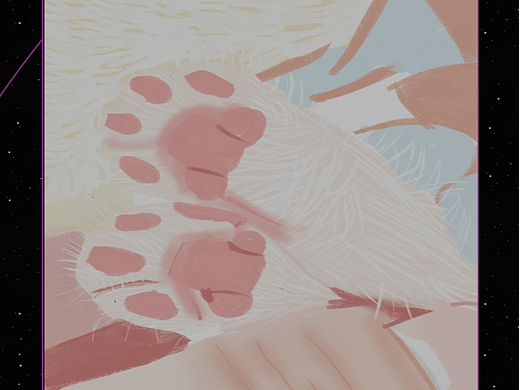 09 【打卡DAY09】动物质感1