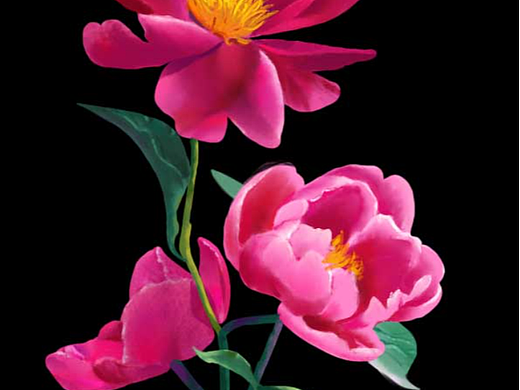 花