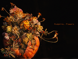 Pumpkins. Flowers