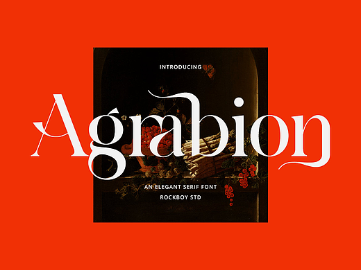 复古优雅宫廷时尚品牌标识海报杂志封面标题英文字体