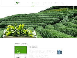 茶叶官网（高保真）