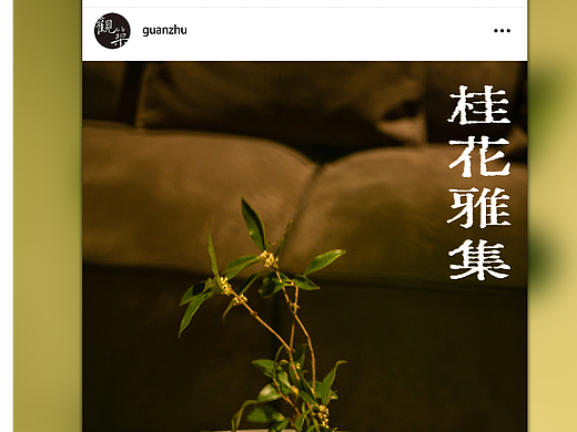 桂花雅集-公众号推文