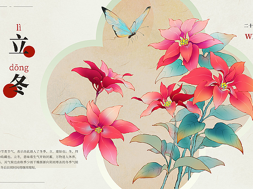 二十四节气｜花卉植物