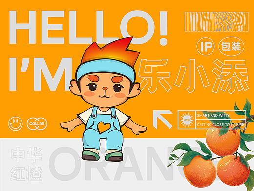 农产品 卡通IP   品牌全案  吉祥物 IP图库 包装设计